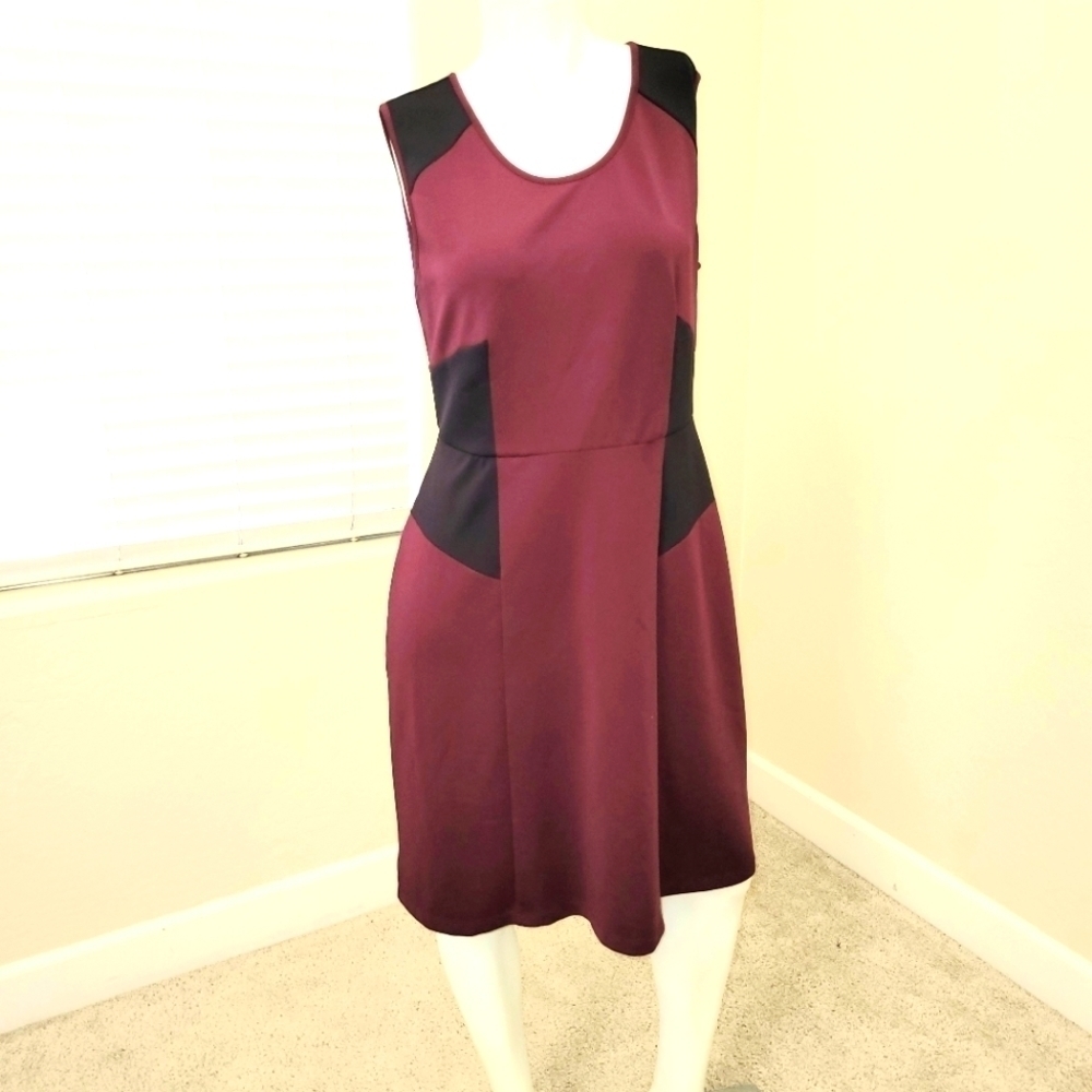 Elegant Burgundy and Black Sleeveless Dress